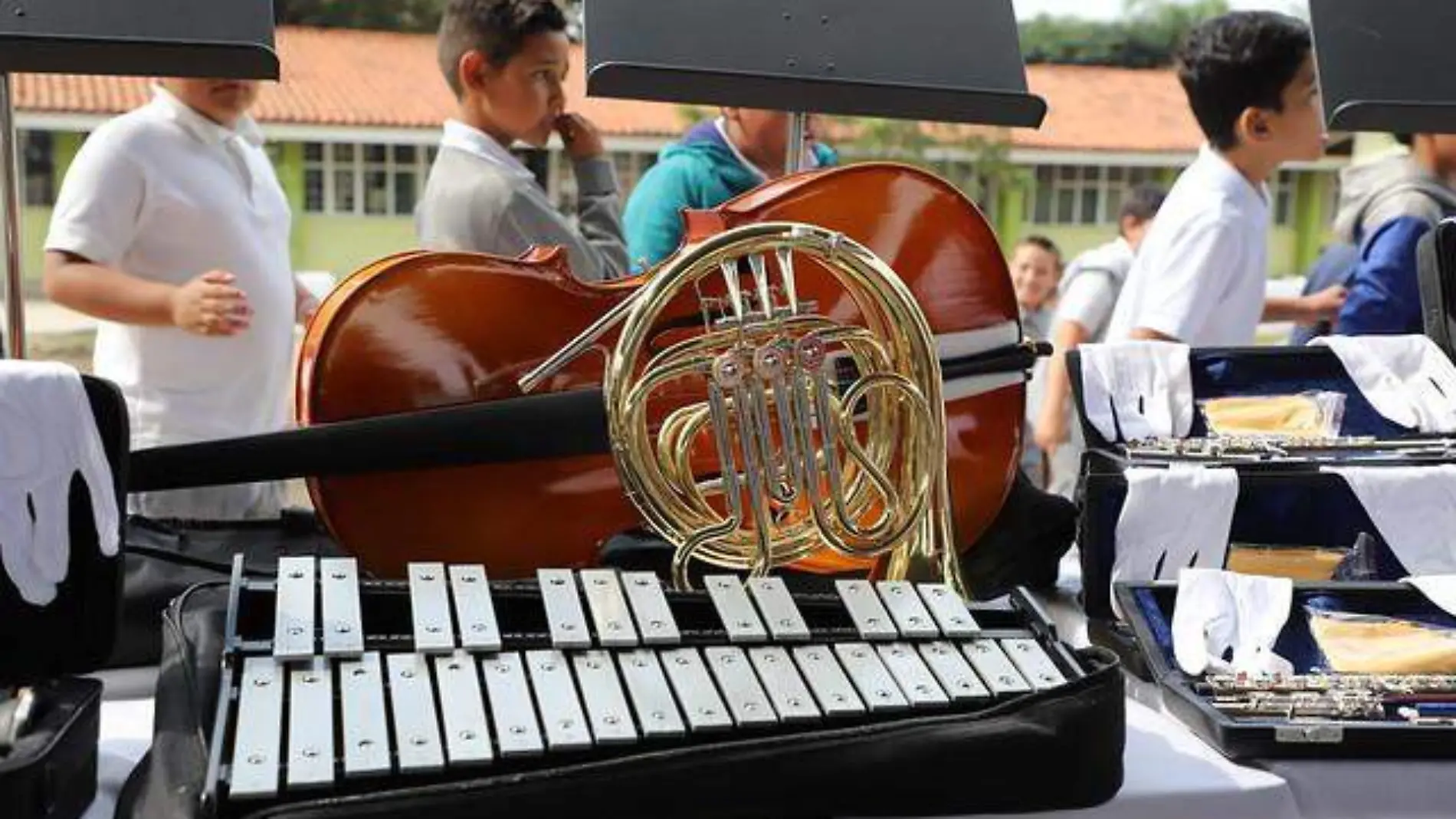 Instrumentos musicales